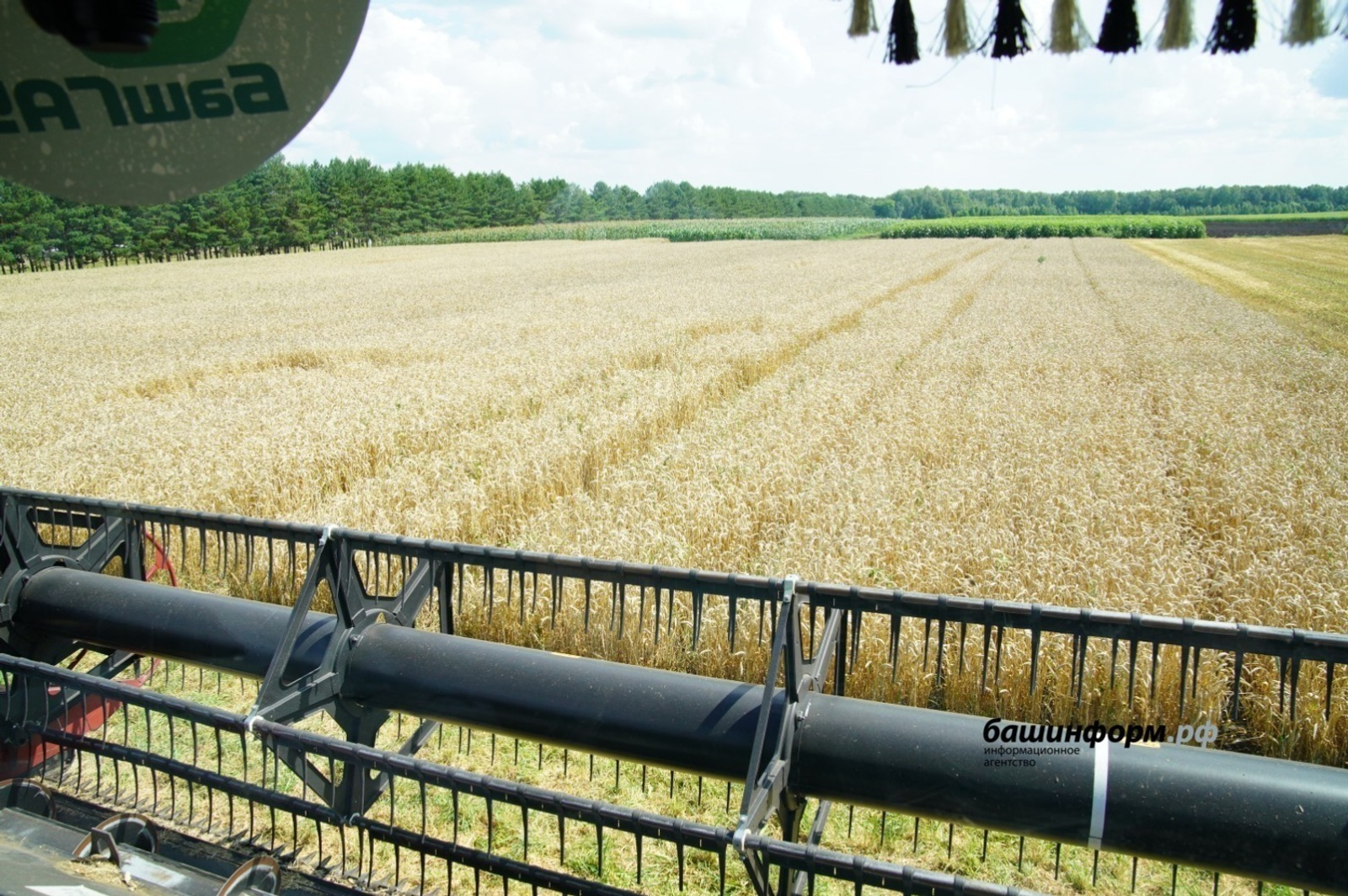 Зерно из Башкирии пользуется спросом в Казахстане