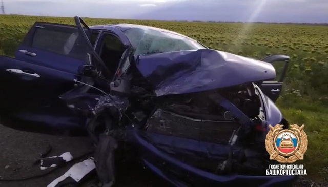 Мелеузовских водителей ГАИ предупреждает об опасности столкновения с животными