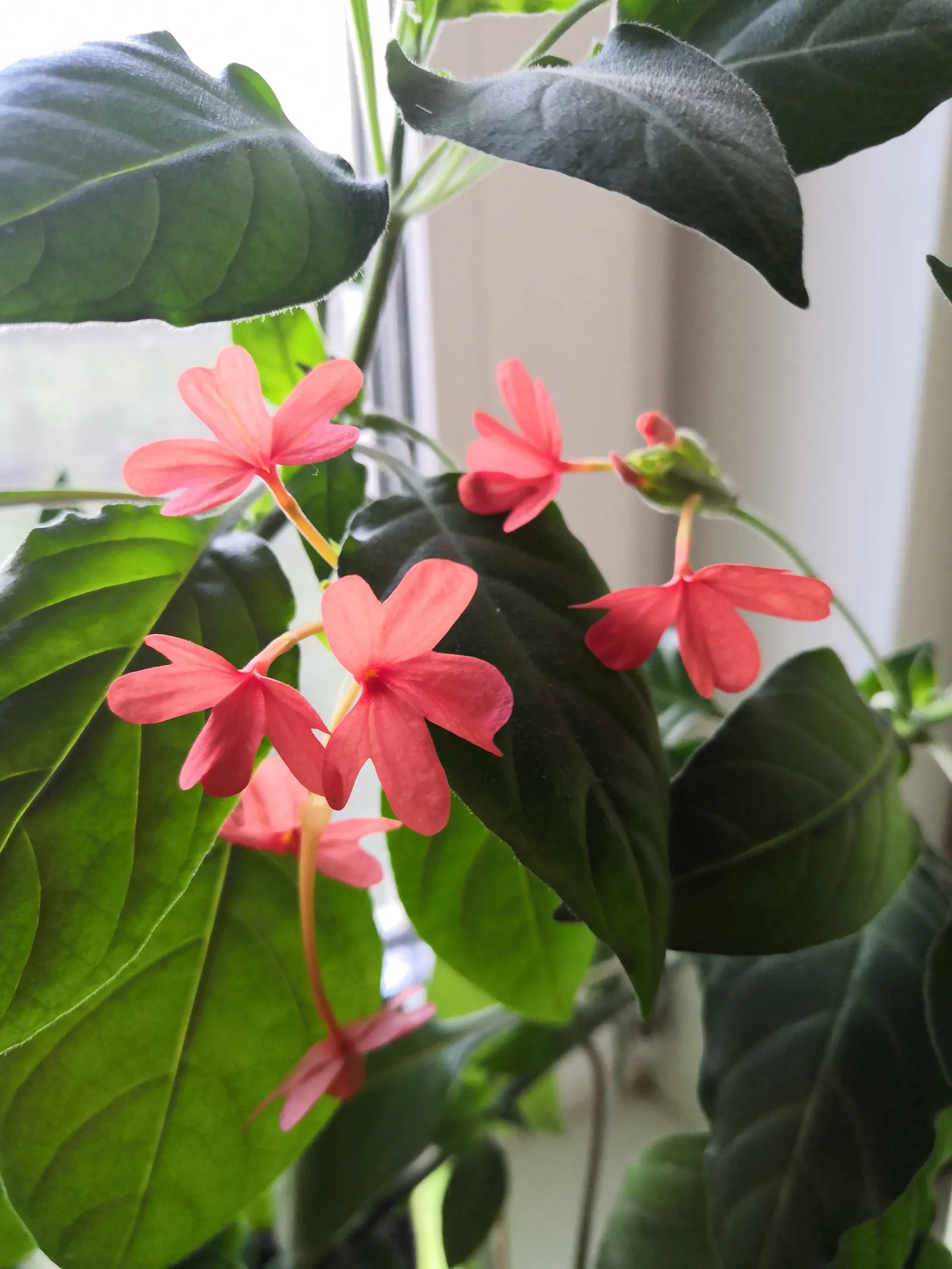 Судьба Telegram должна решиться в ближайшие три месяца