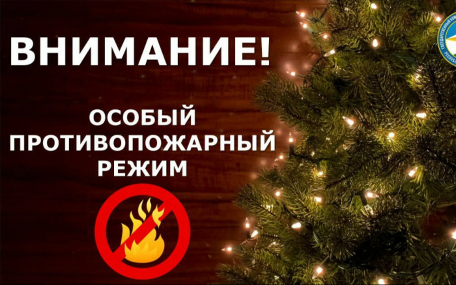 Сотрудники МЧС напоминают мелеузовцам о правилах использования пиротехники