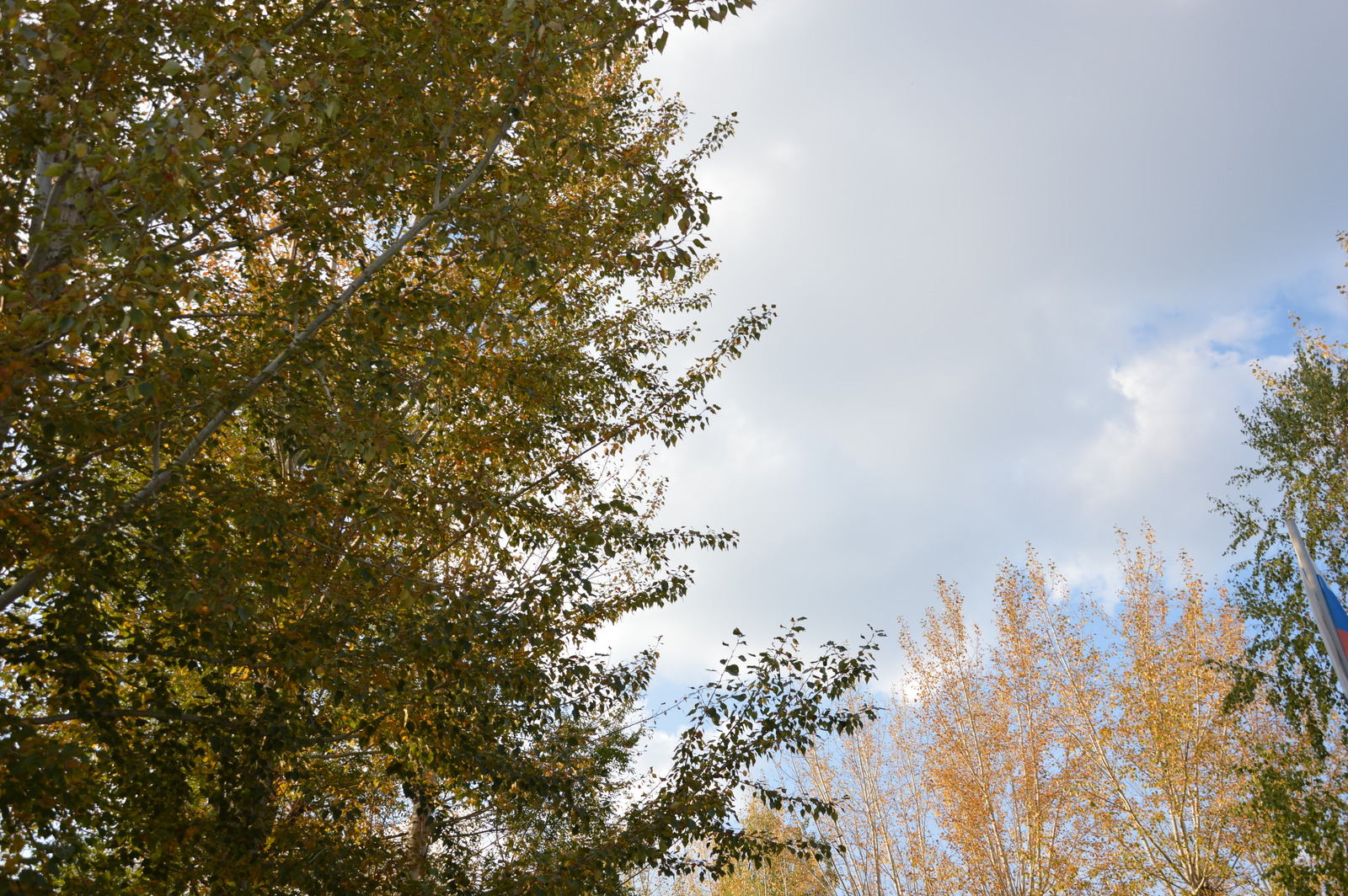 Погода в октябре: достаём шапки