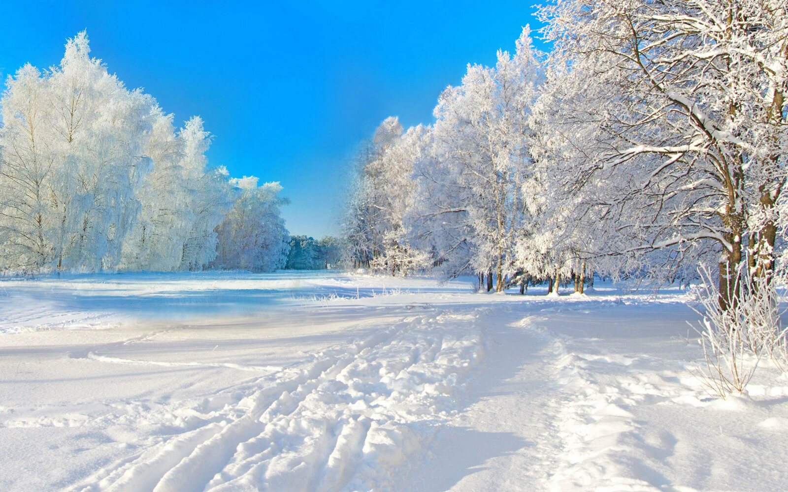 Стихи мелеузовских поэтов о зиме