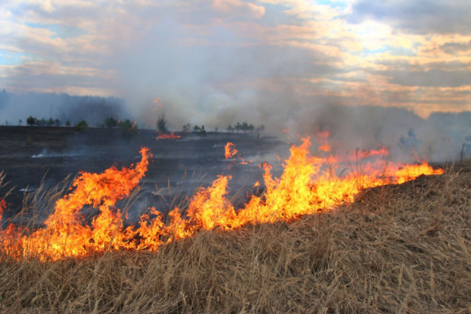 В апреле традиционно обостряется проблемы сельскохозяйственных палов, сжигания сухой листвы и мусора