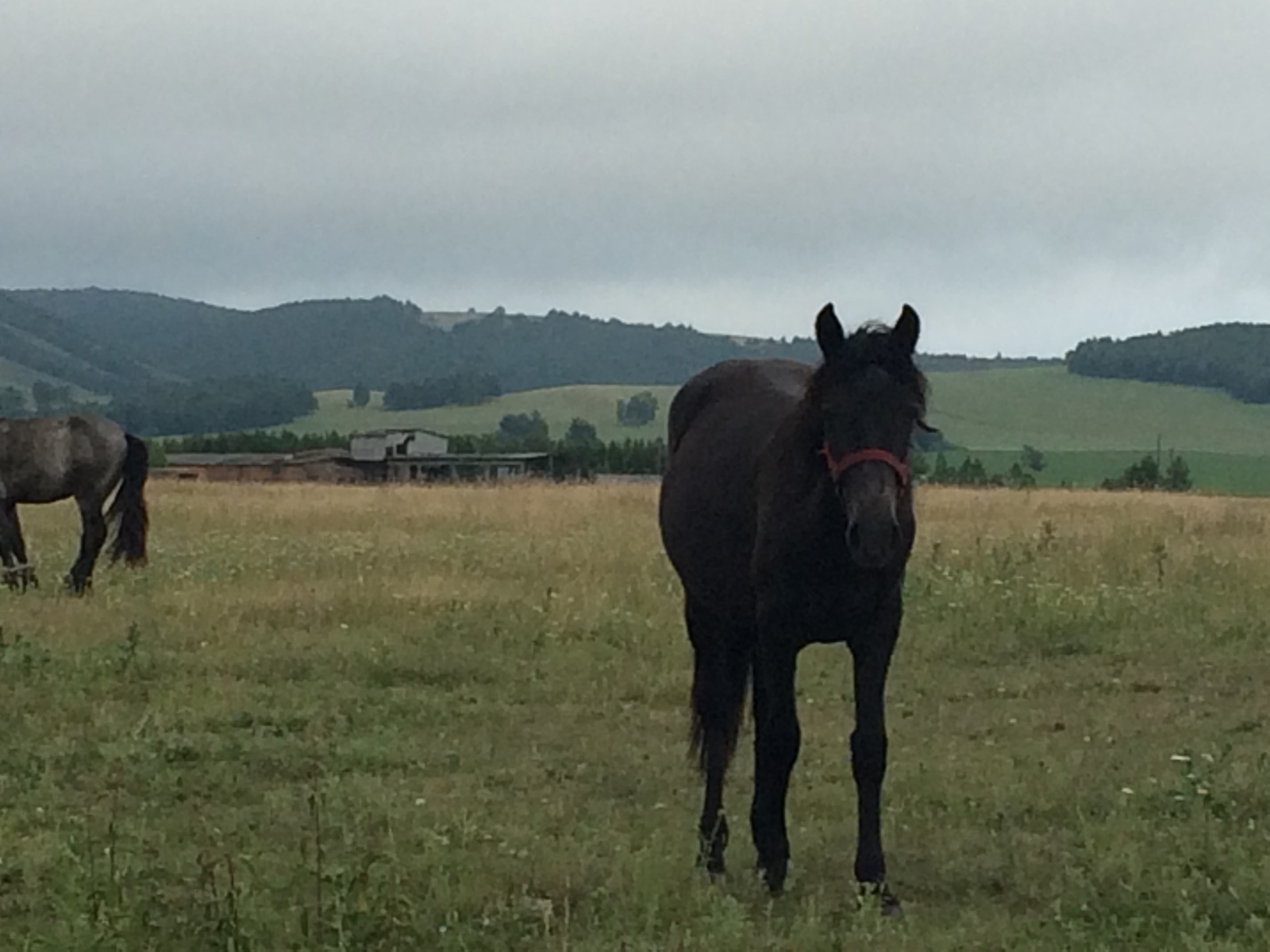 Лжеброкеры выманили у жителя Уфы более 1 миллиона рублей