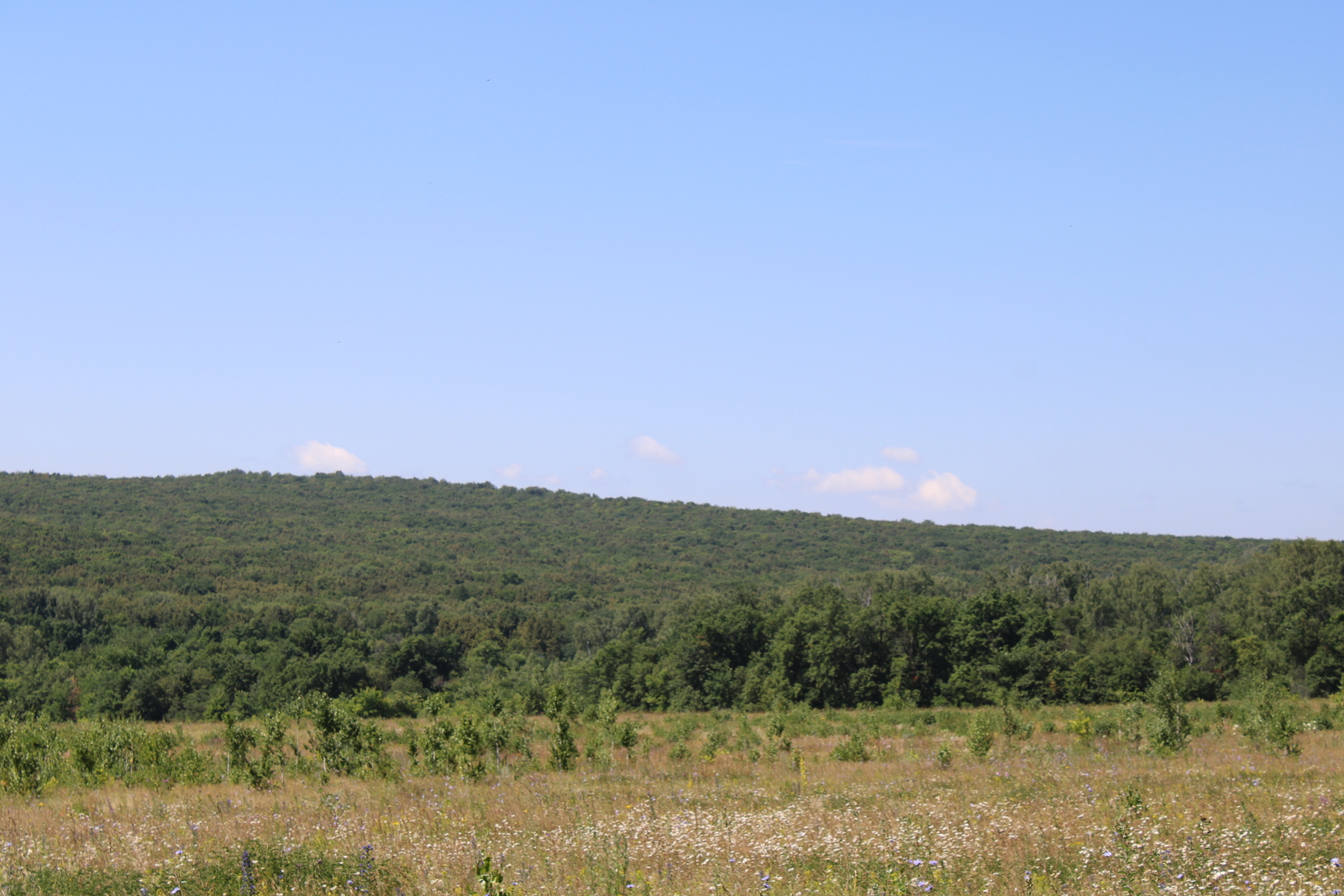 Собрались в дорогу? Проверьте, что есть в машине