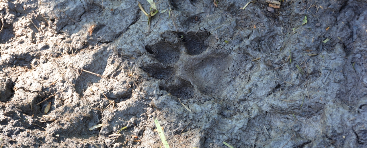 Путешествуем по горам и рекам Южного Урала