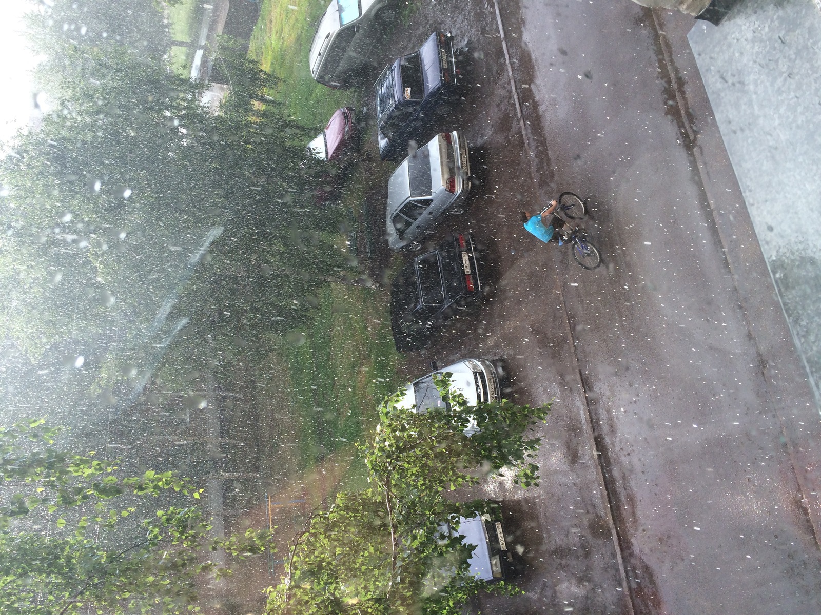 83 нетрезвых водителя задержано вчера в рамках операции «Трезвый водитель»