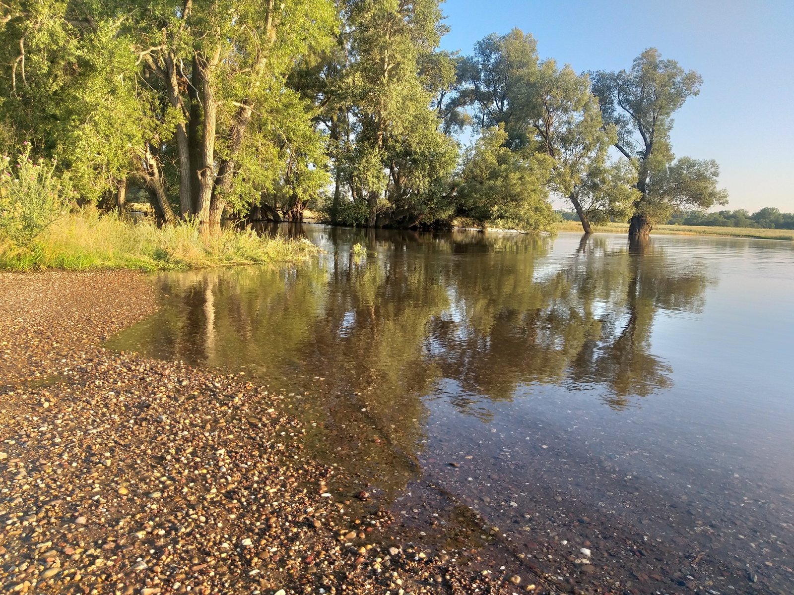 Мелеузовские поэты вдохновились красотой летних дней