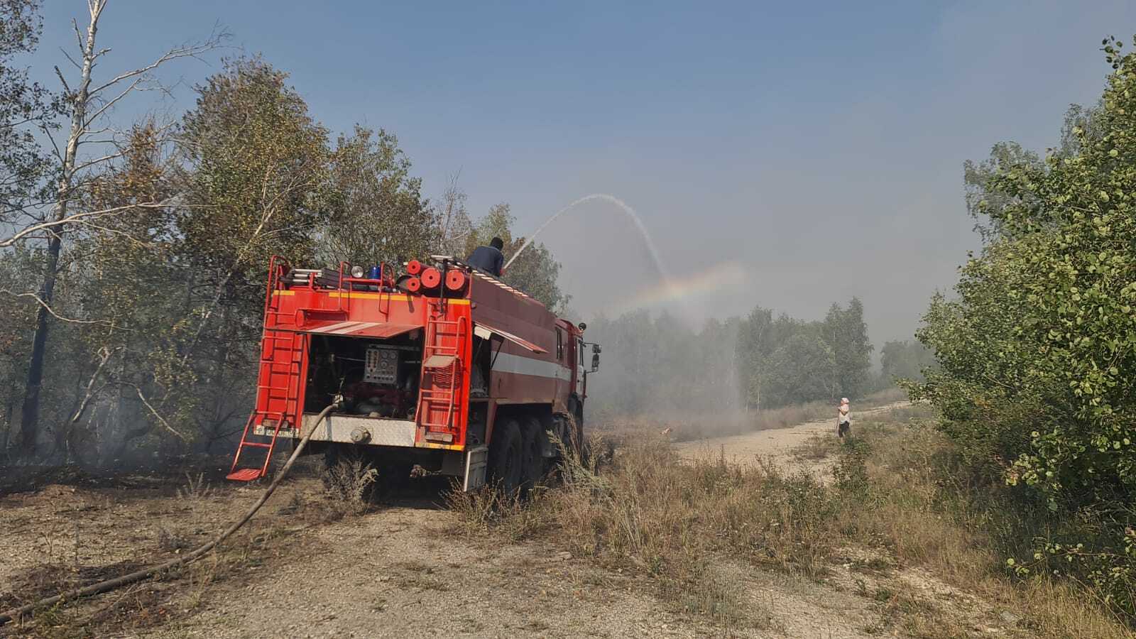 В Башкортостане продолжают действовать 23 лесных пожара