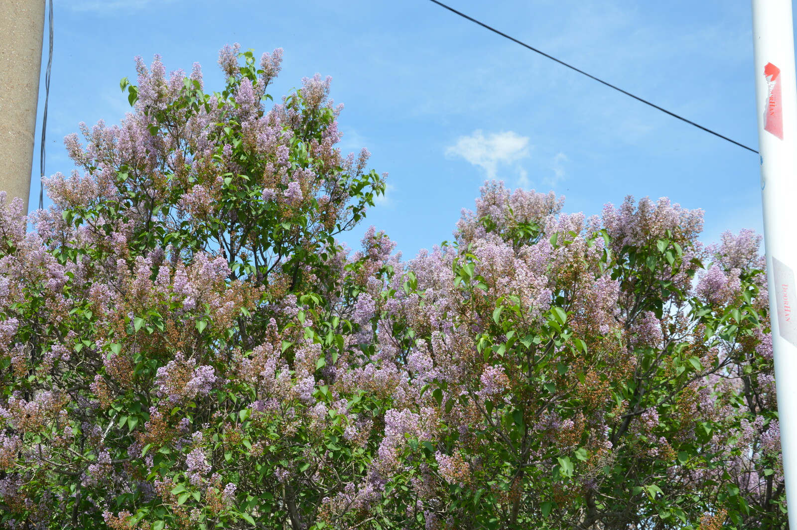 Прогноз погоды на ближайшие три дня в Башкирии