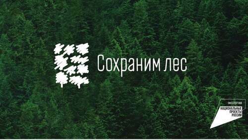 Башкортостан готовится к ежегодной Всероссийской акции «Сохраним лес»