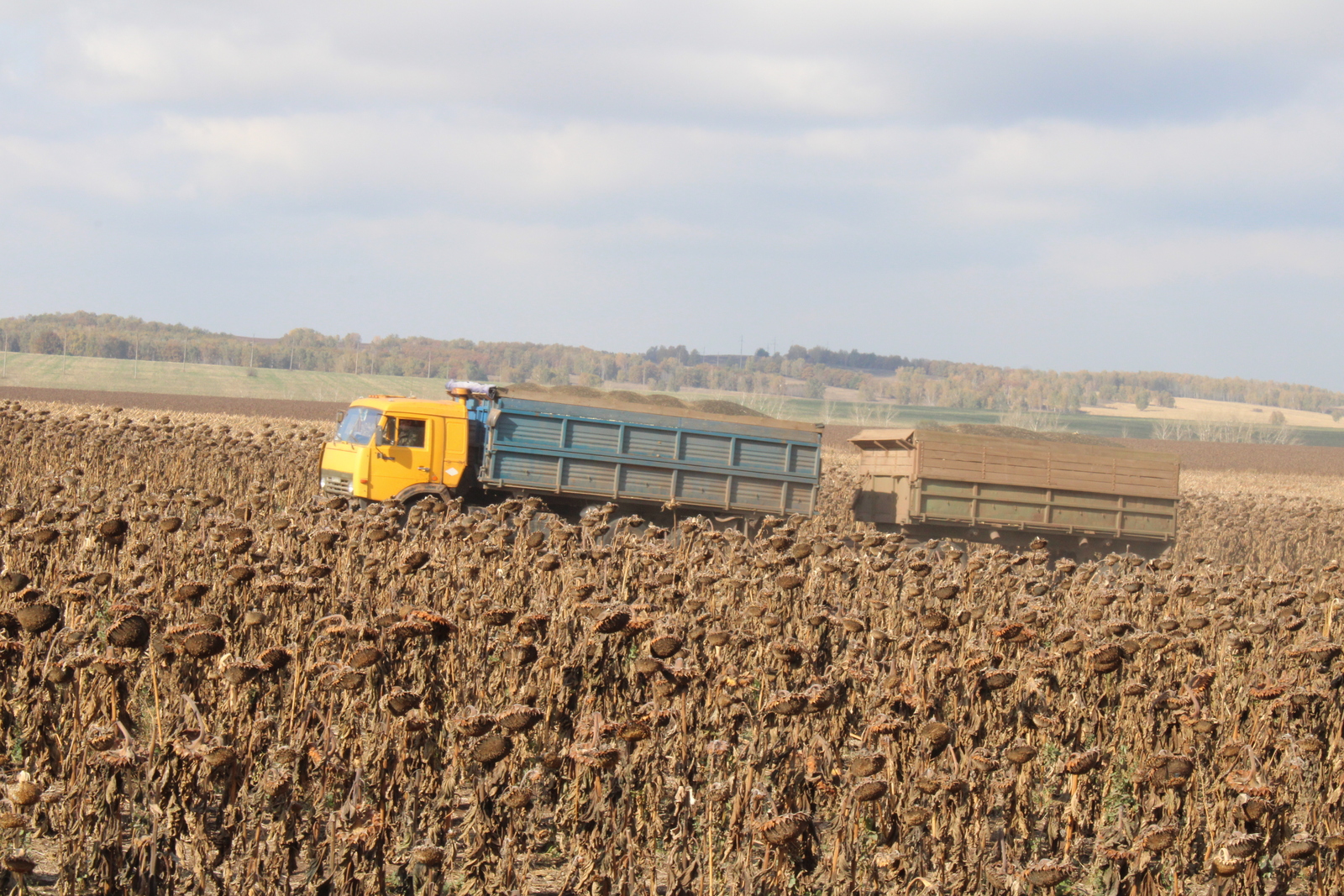 На форуме и выставке «АгроКомплекс-2026» выступят зарубежные эксперты