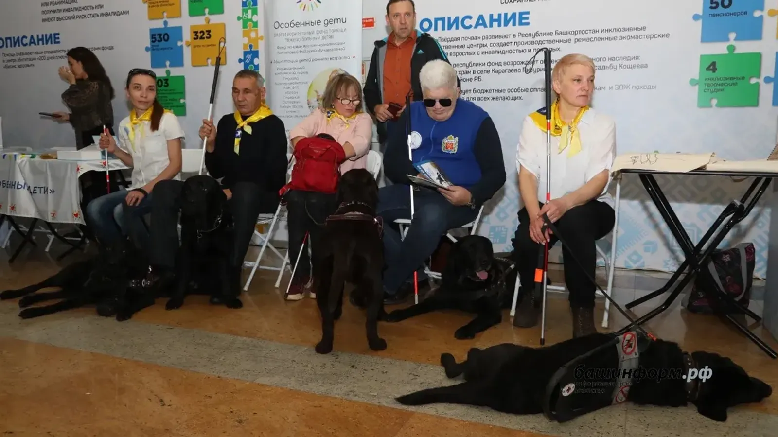 В Башкирии выдают сертификаты на корм для собак-поводырей