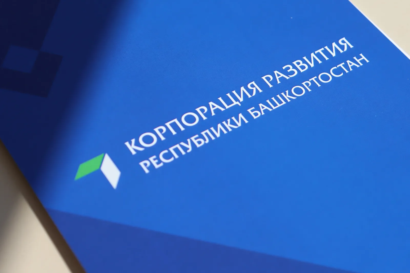 Федеральные эксперты оценили деятельность Корпорации развития Башкортостана