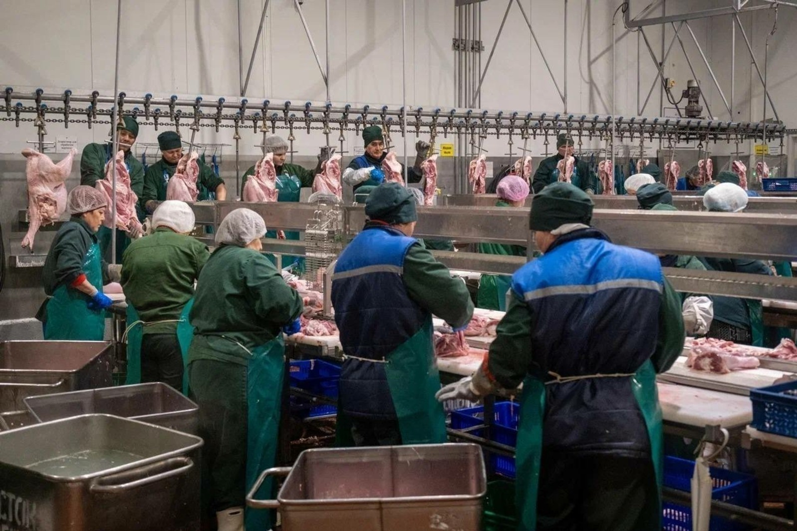 Индейка из Мелеуза Башкирии «поплывёт» в Конго