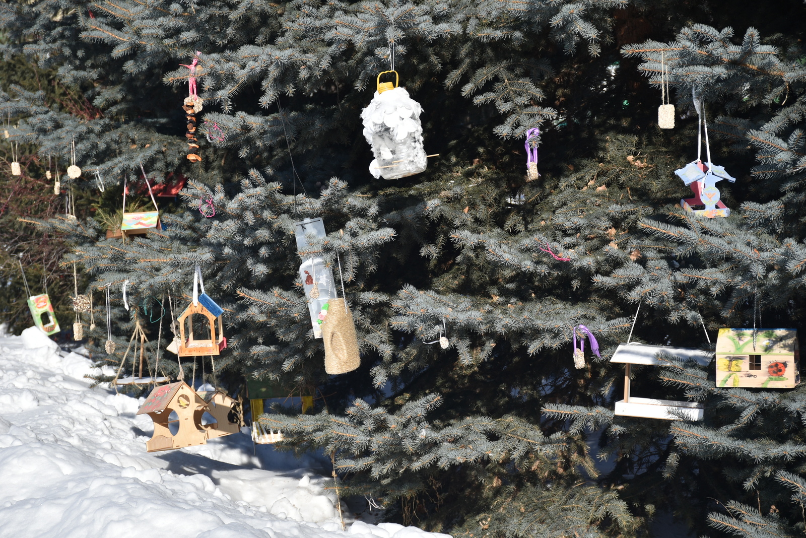 В Мелеузовском районе проводится операция «Ель-2025»