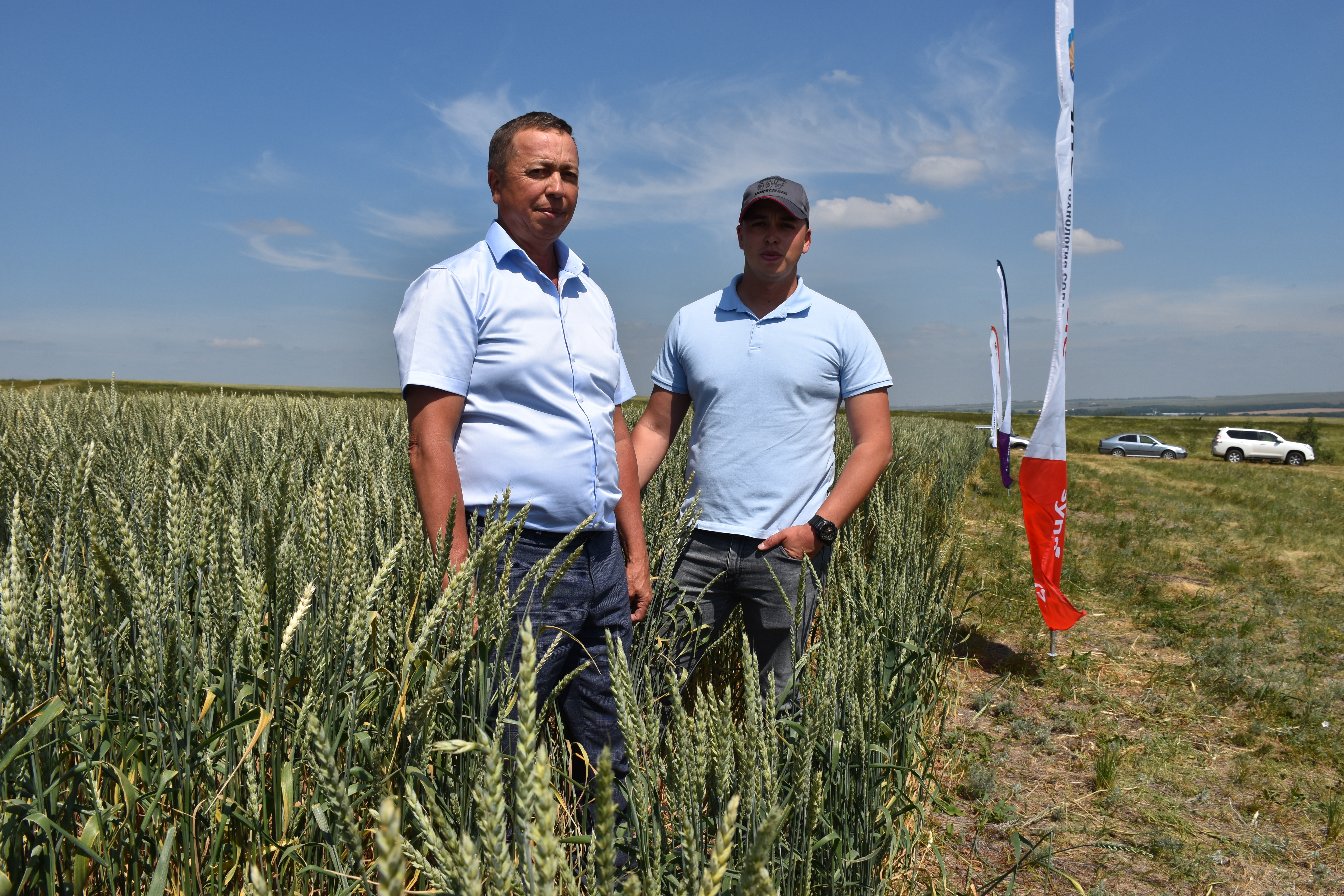 Более четырёх млн тонн зерна собрали хлеборобы Башкортостана: мелеузовцы - на третьем месте