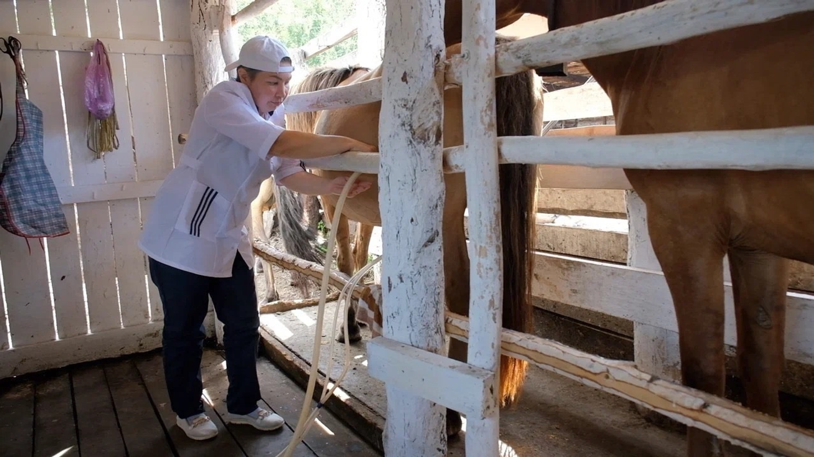 Глава Башкирии рассказал о важнейшем экспортном продукте