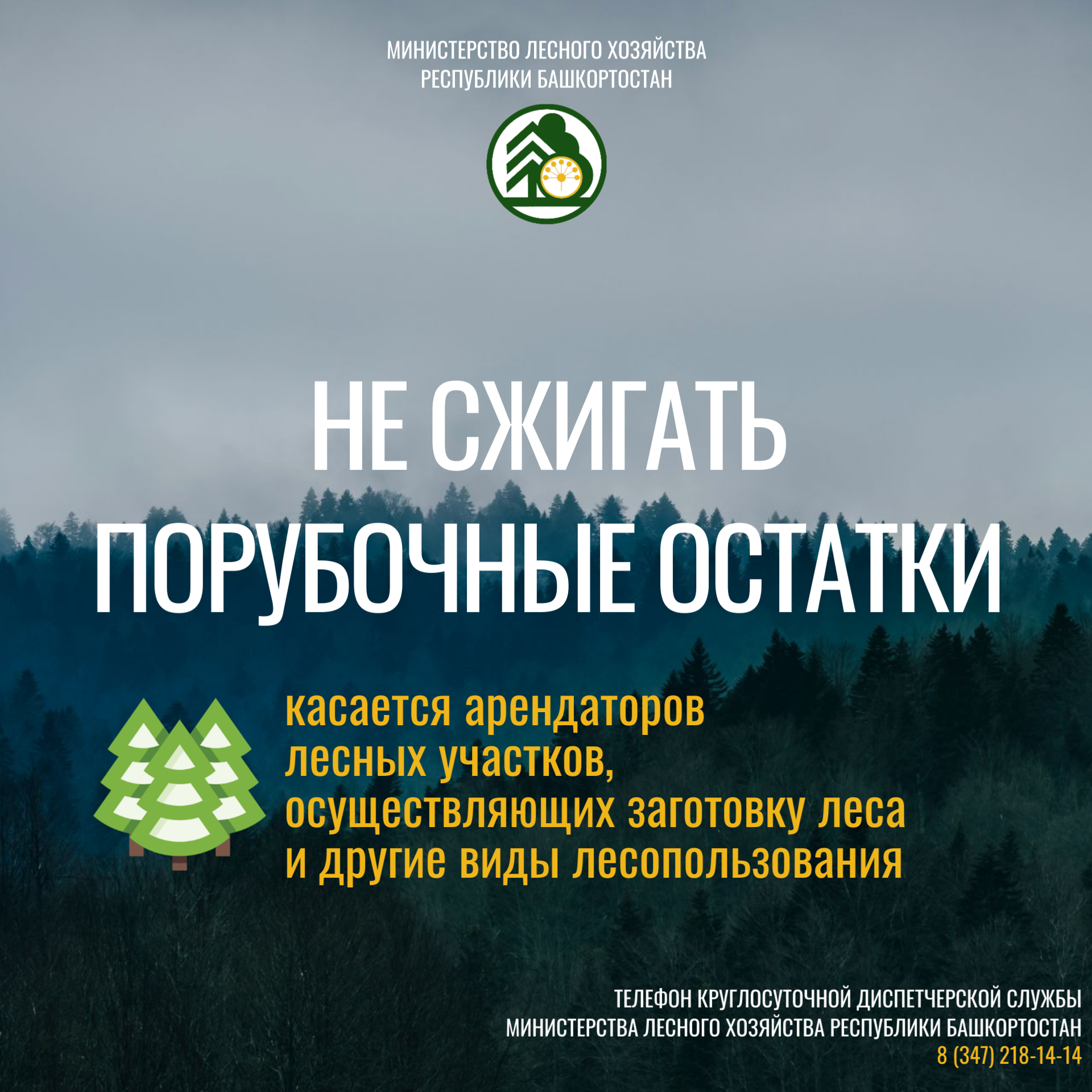 МЧС предупреждает мелеузовцев о недопустимости сжигания сухой травы и мусора