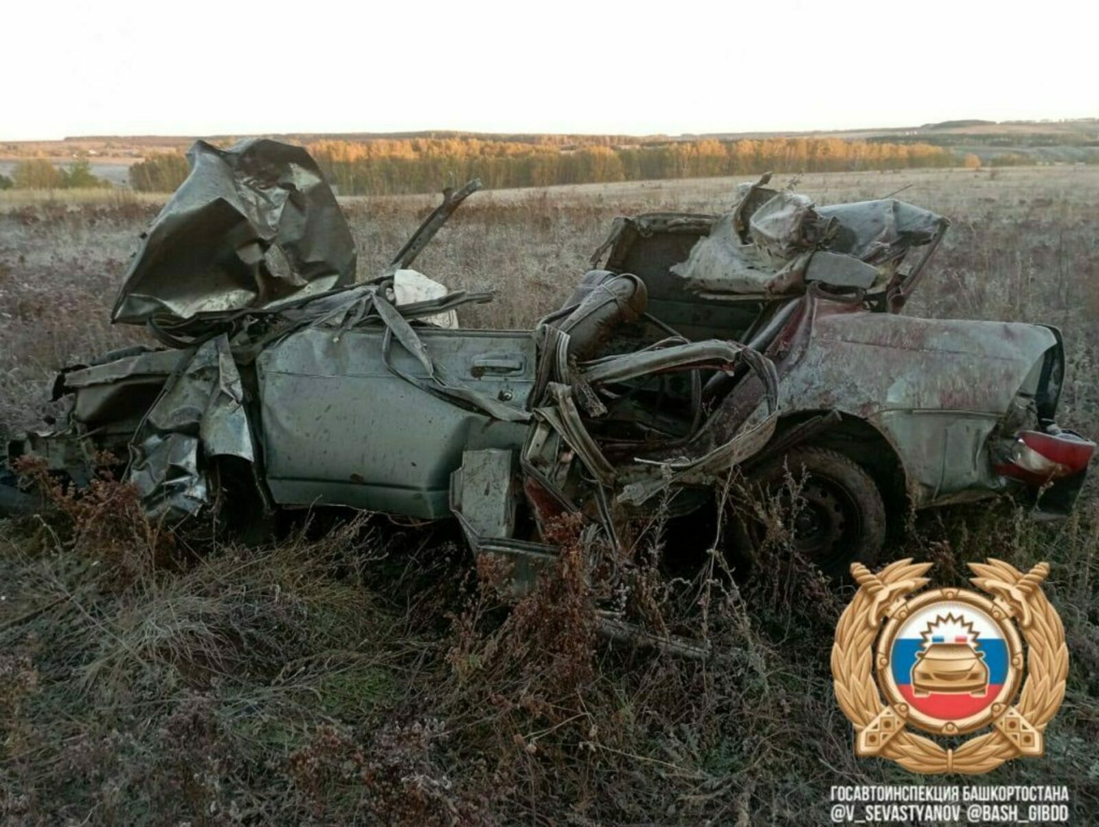 В Башкирии в ДТП из-за лошади погибли 3 человека