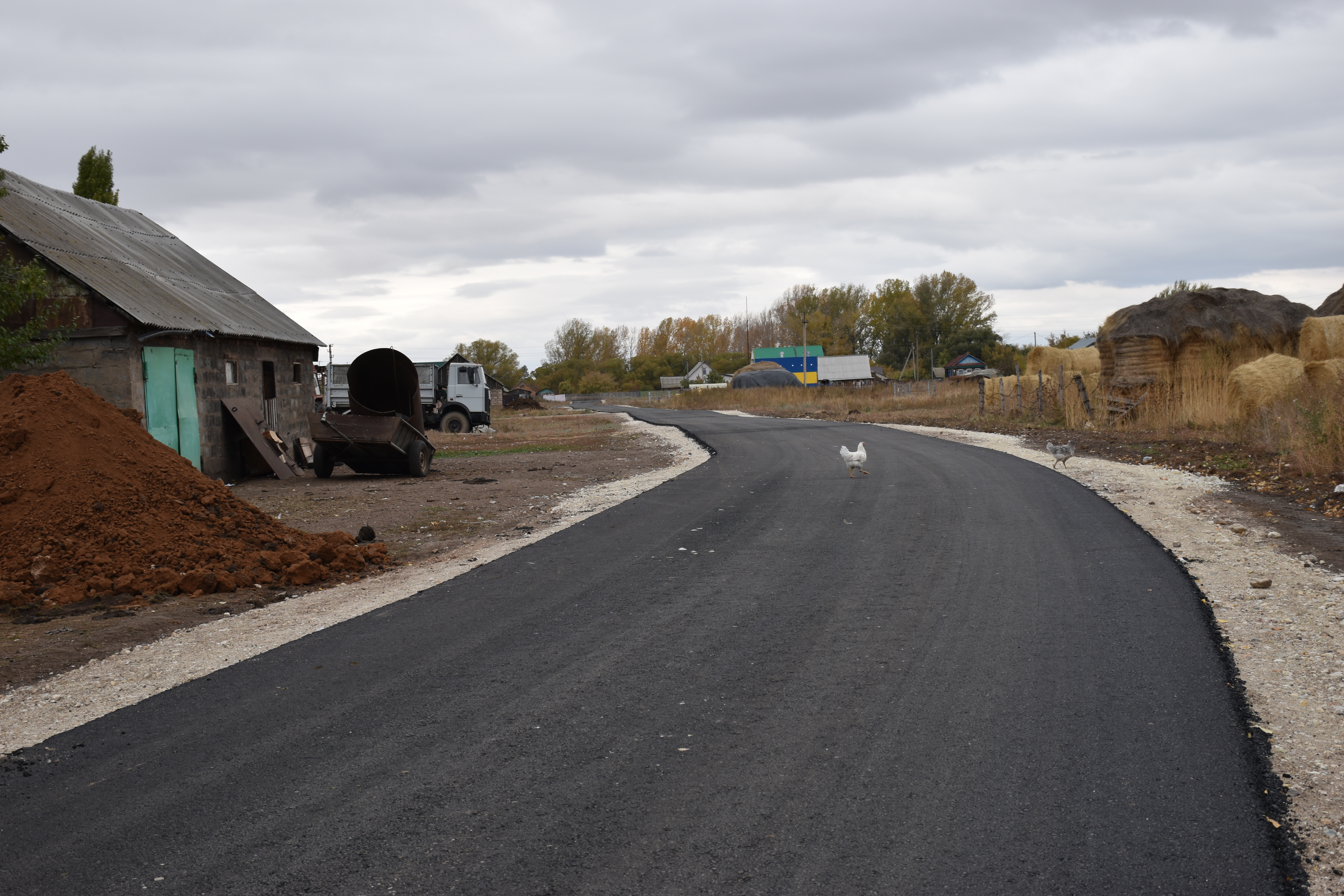 ППМИ в действии: Как жители Даниловки дорожную проблему решают?