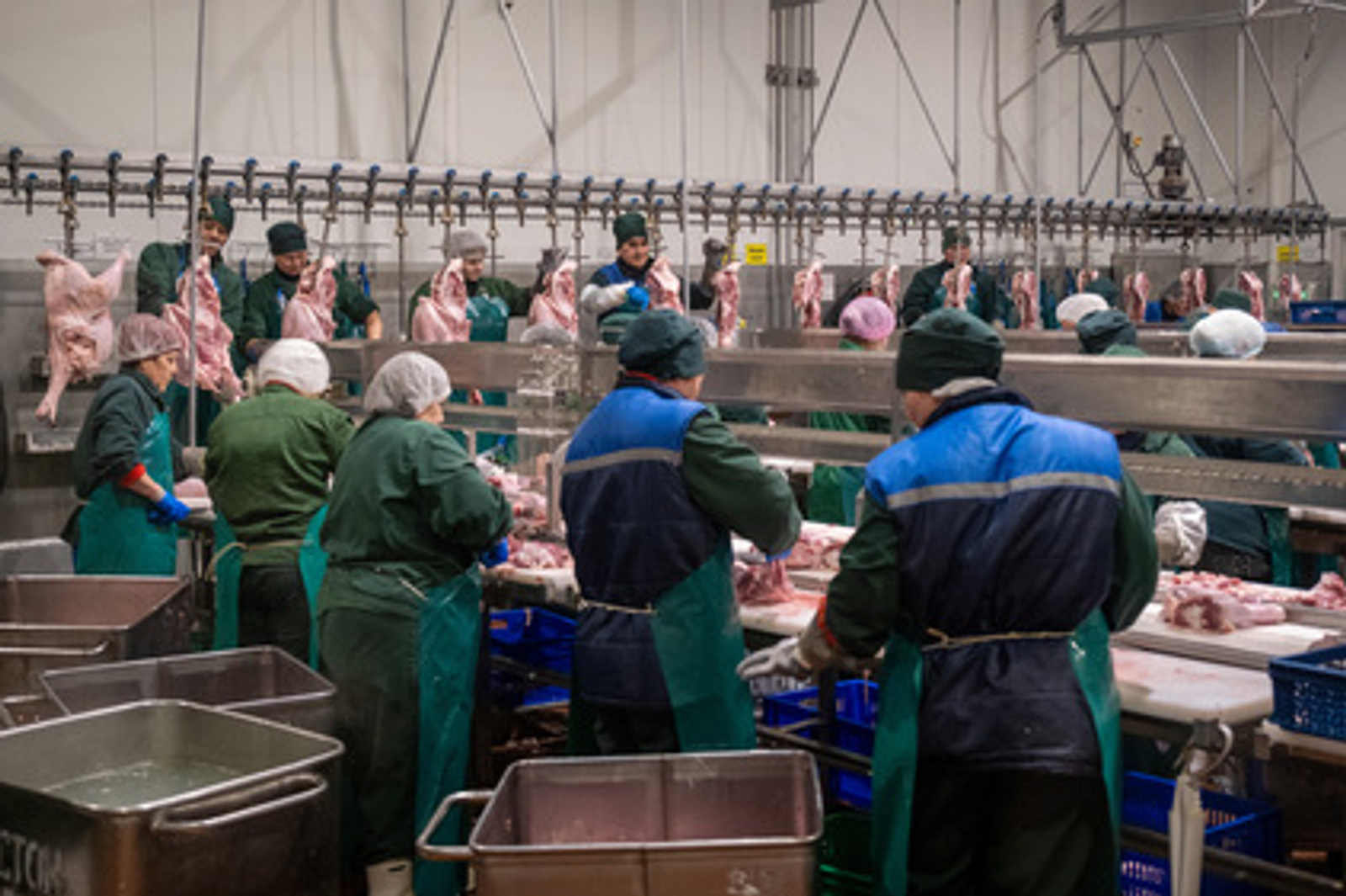 Башкирия с начала года экспортировала в Конго более 160 тонн индейки