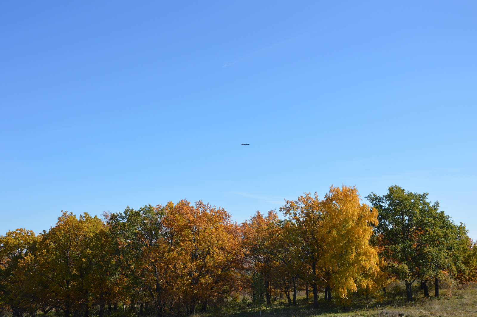 Когда в Башкирии ждать снег?