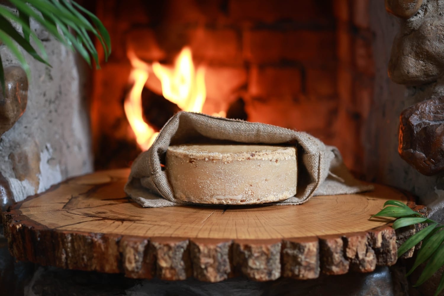 «Башкирская коза»: золотой стандарт натурального сыра