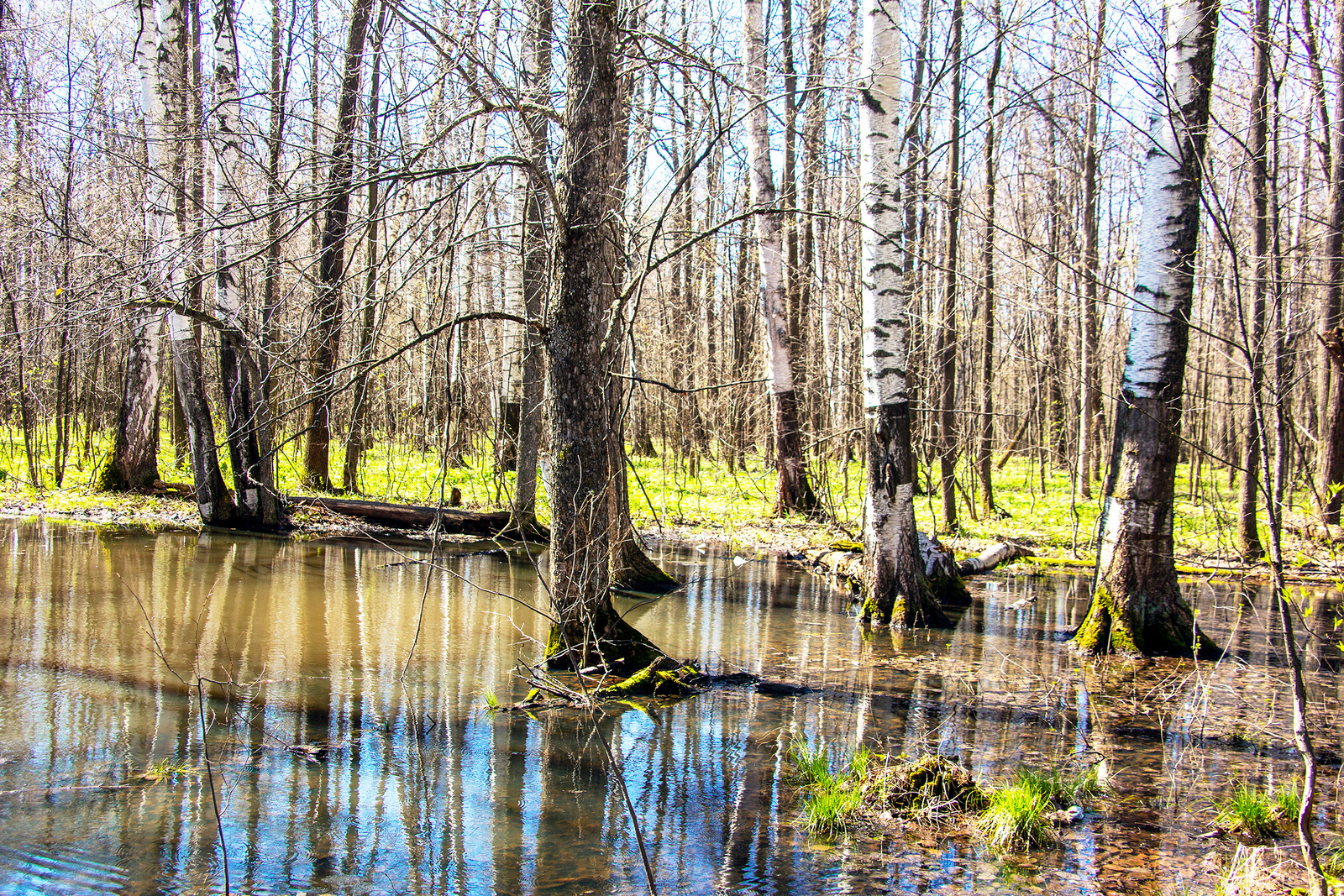 Весенний контраст: от мокрого снега до +20° ожидает Башкирию на этой неделе