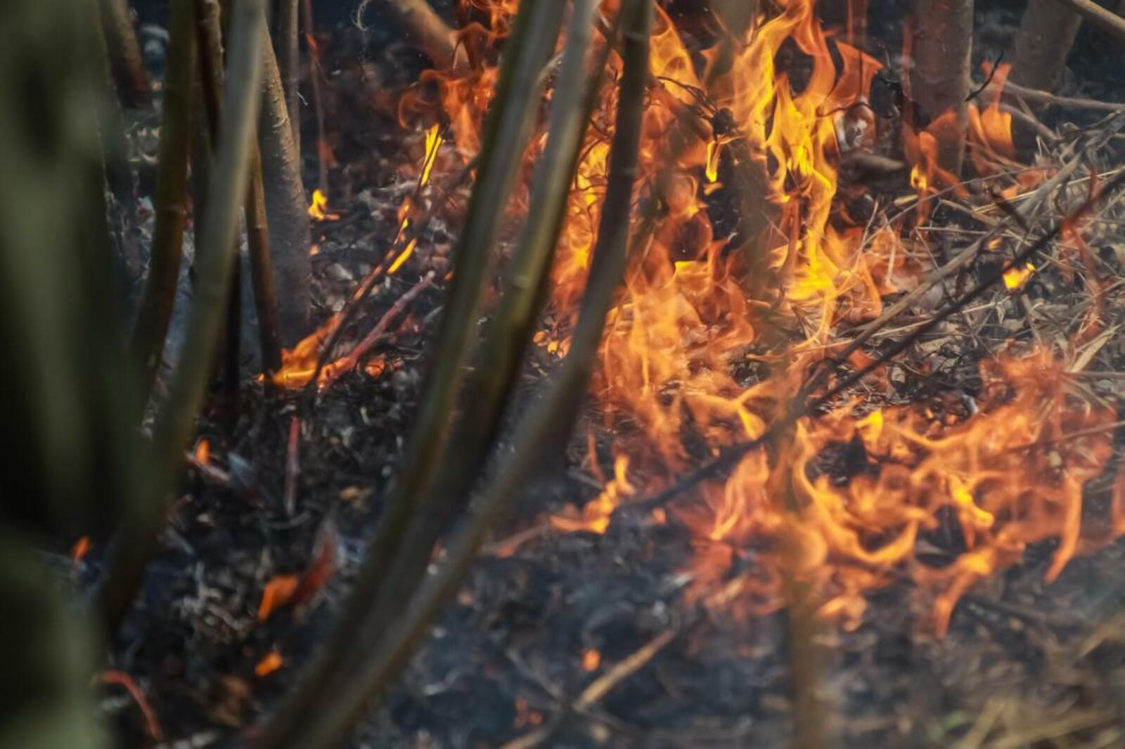 Пожары охватили более 100 га лесов Башкирии