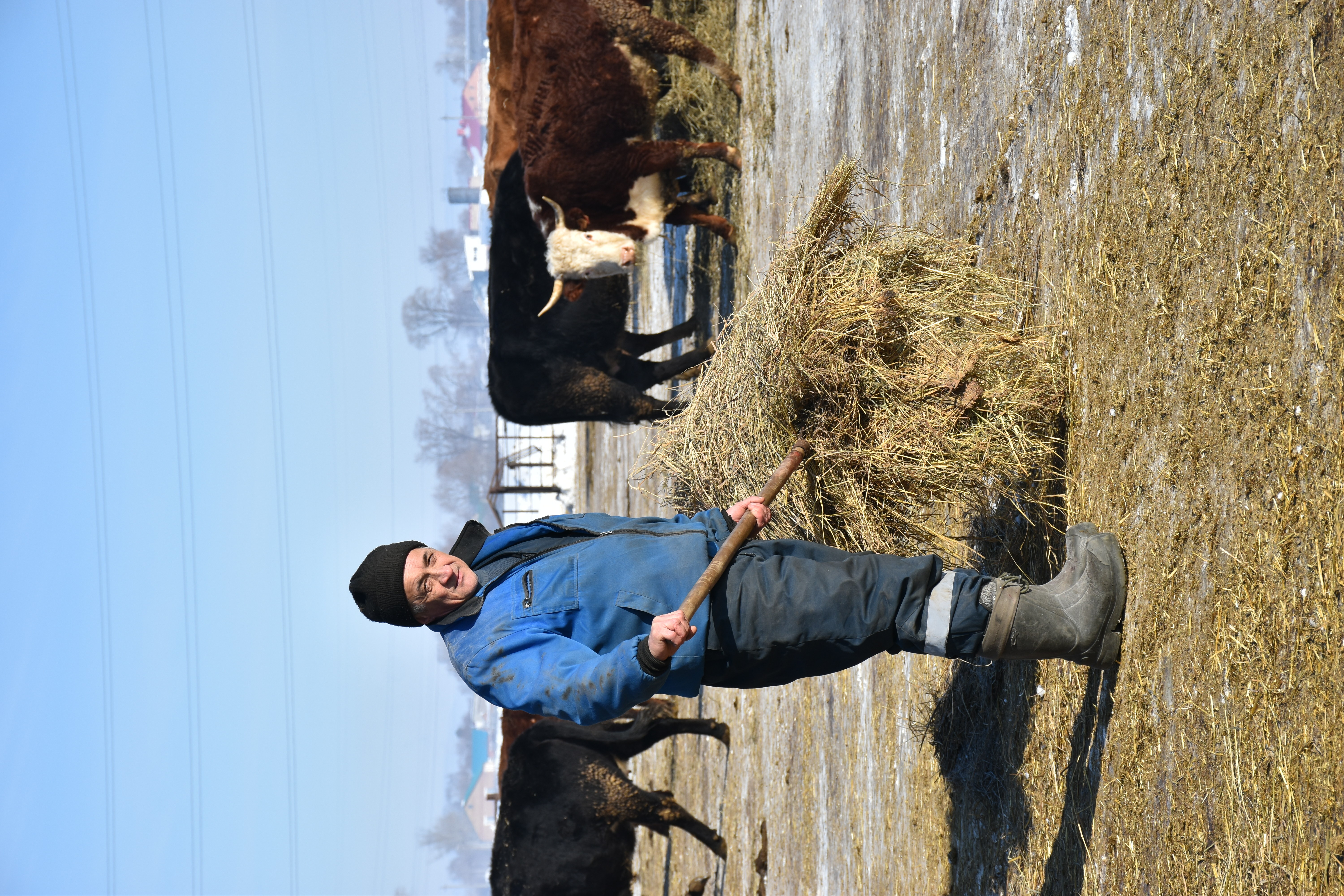 Зимние заботы мелеузовского фермера Шарипова