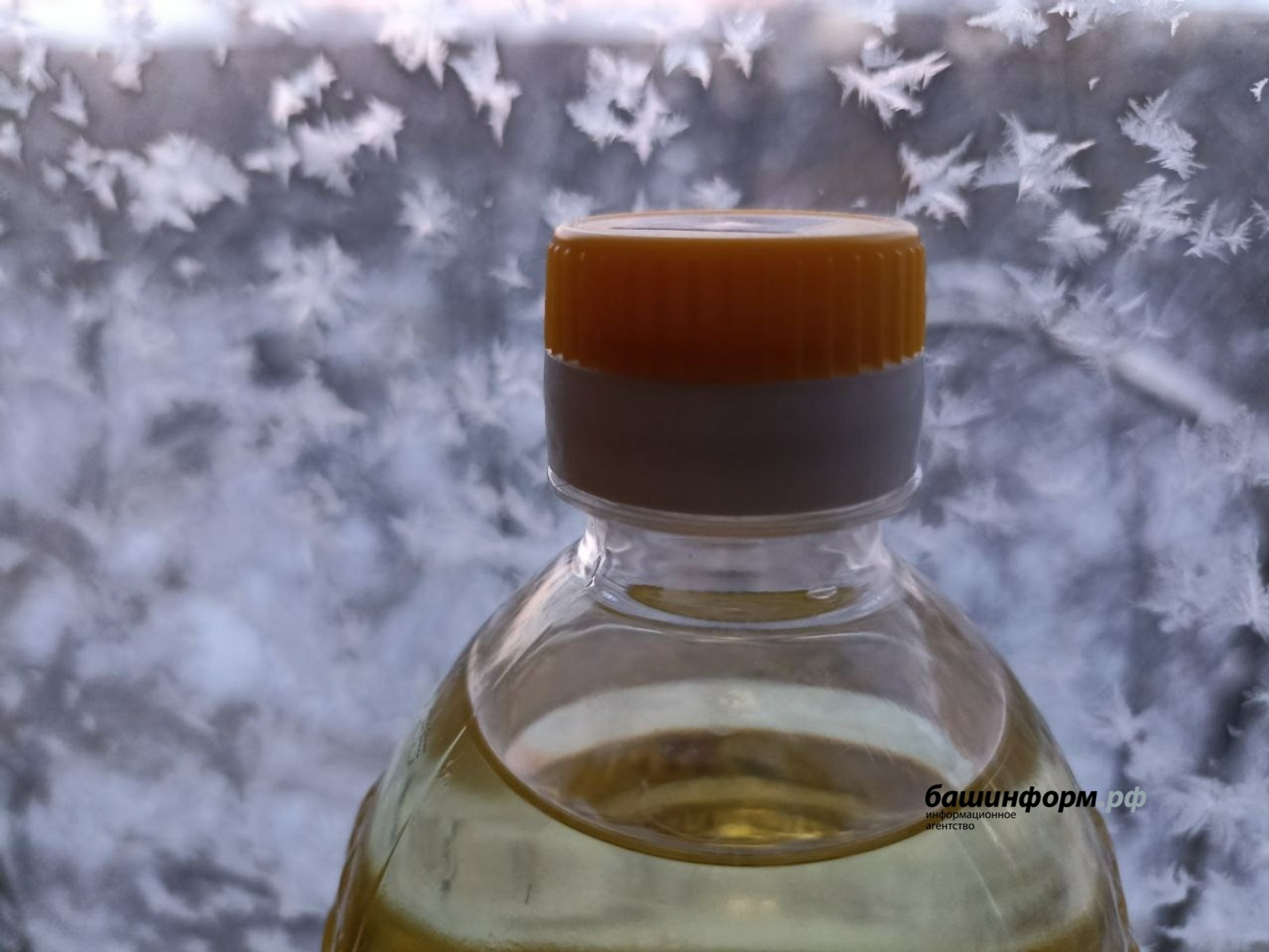 Масло из Башкирии вновь отправилось в Китай, где оно очень популярно