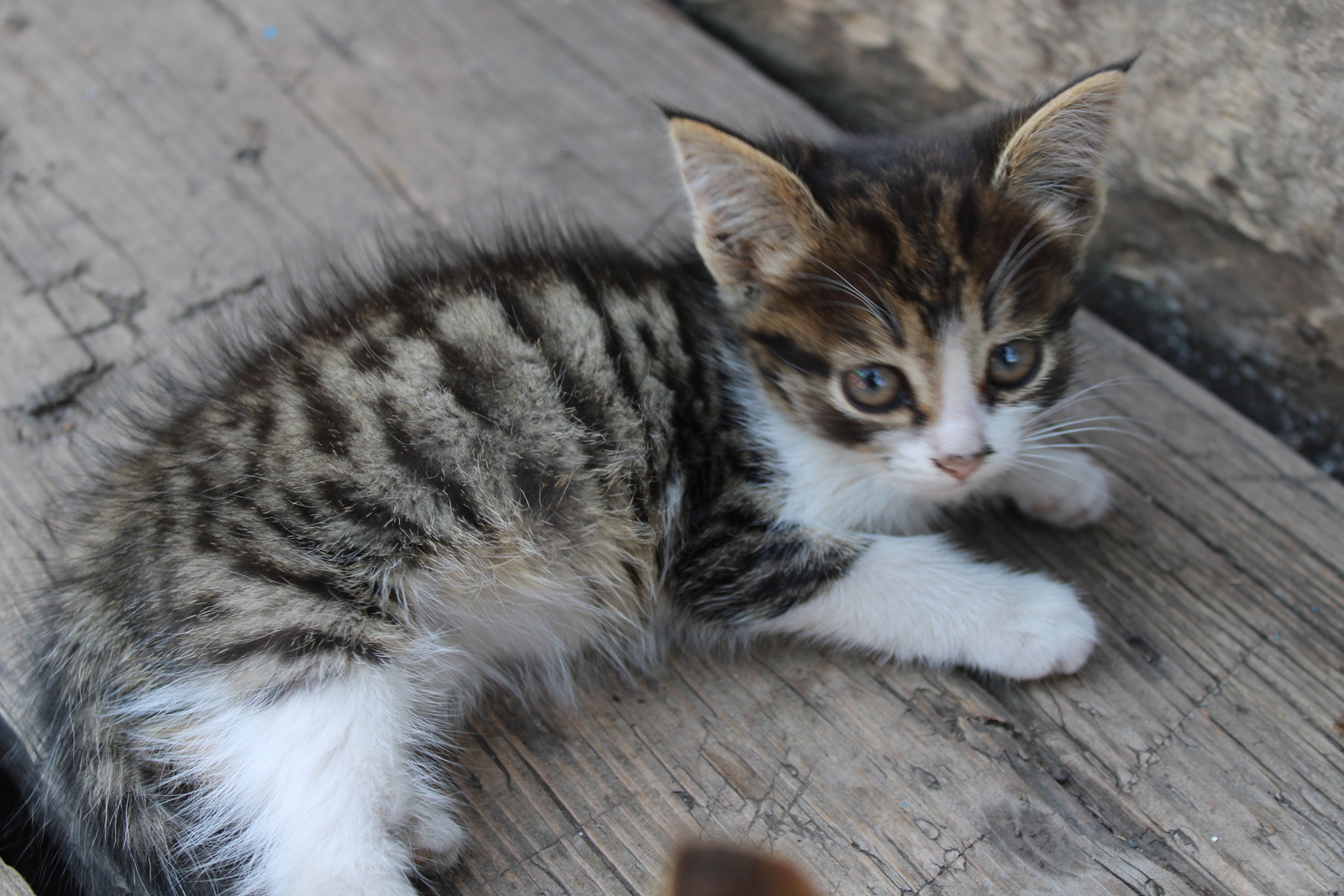 Жительница Уфы потеряла 400 тысяч рублей, пытаясь заработать на «инвестициях»