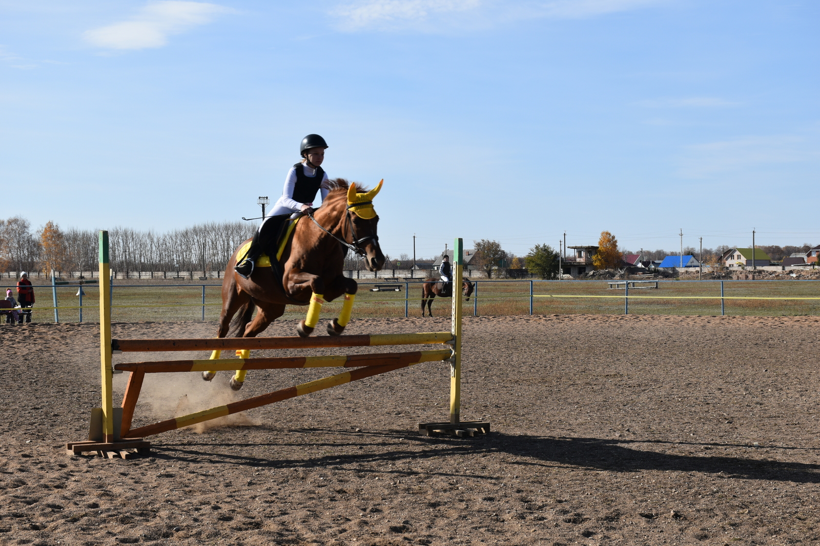 Год Красной Огненной Лошади начнётся в ночь на 17 февраля, смотрим гороскоп