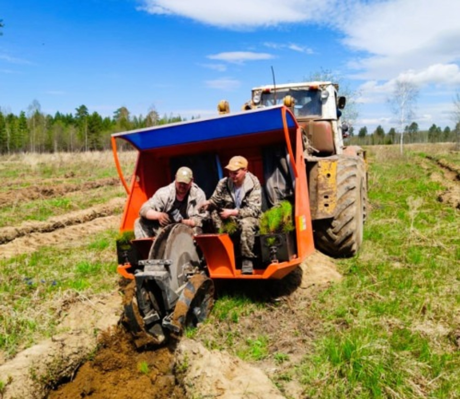 В Башкирии более 5 тысяч гектаров засадили молодым лесом
