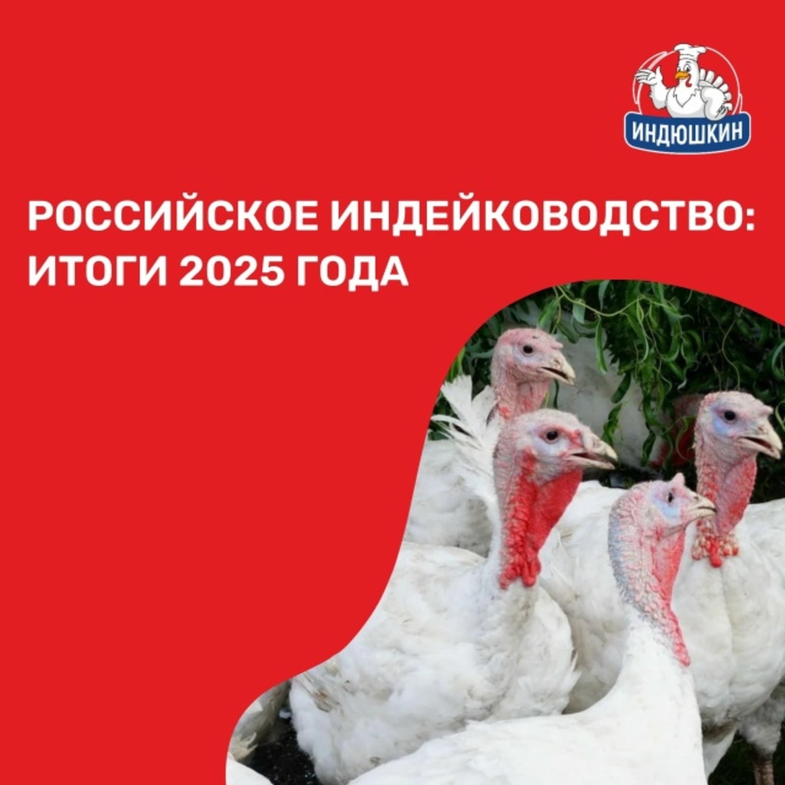 "СоюзПромПтица" из Мелеузовского района вновь подтвердила лидерство в России