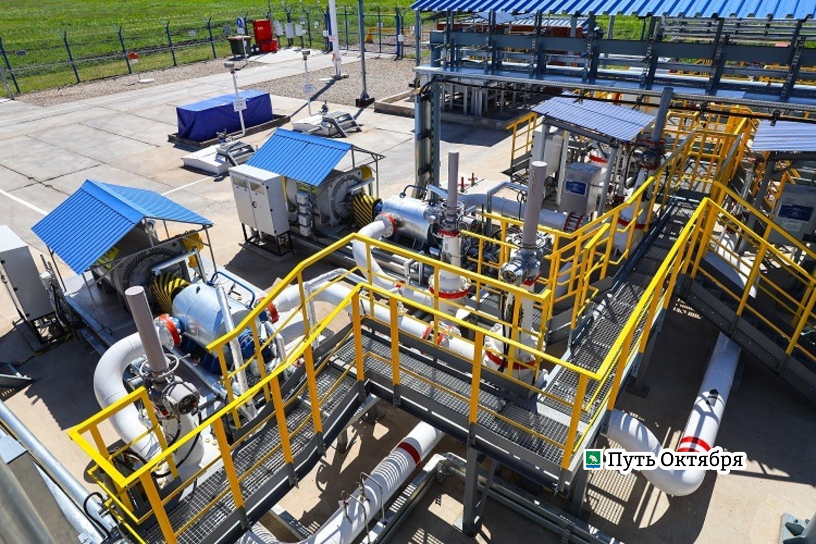 Артур Салимов