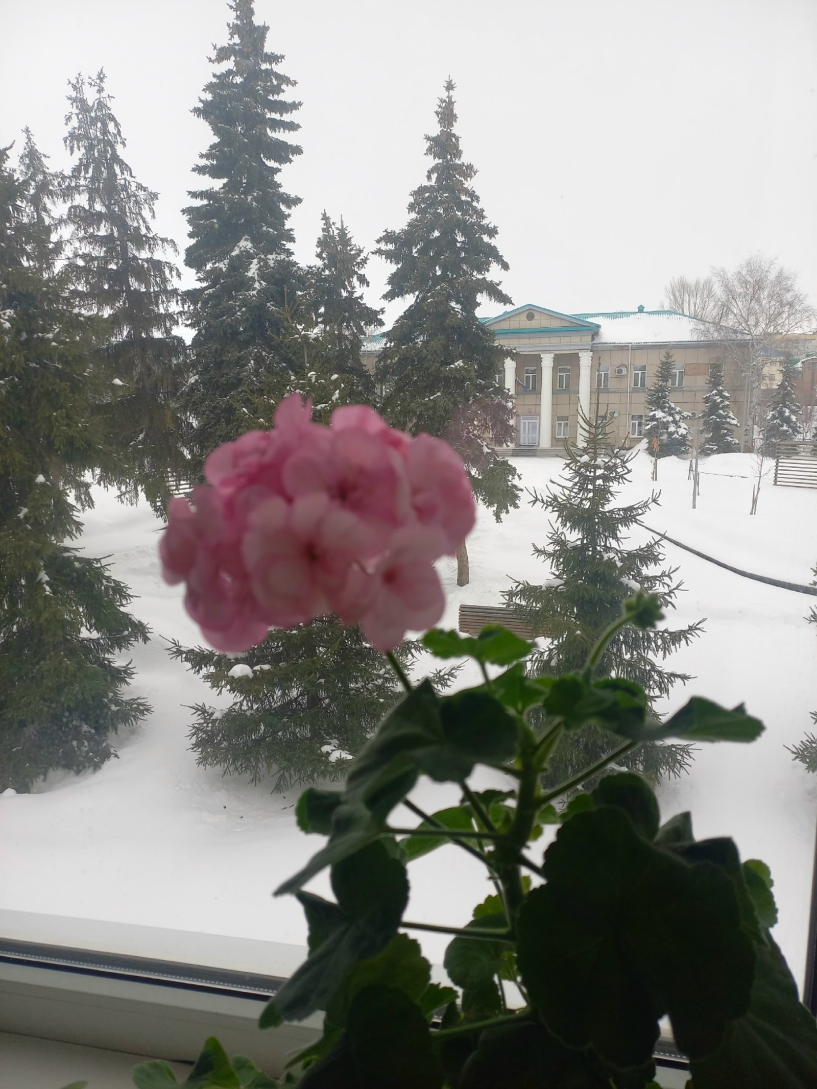 Весна в Башкирии: на регион надвигаются 30 градусные морозы