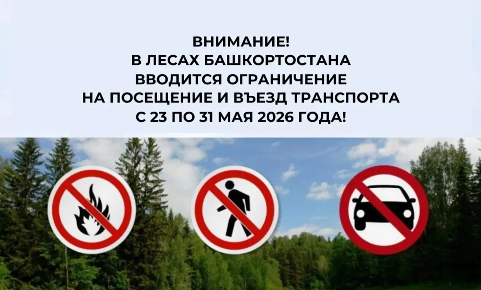 В Башкирии ограничат посещение лесов и въезд туда на транспорте