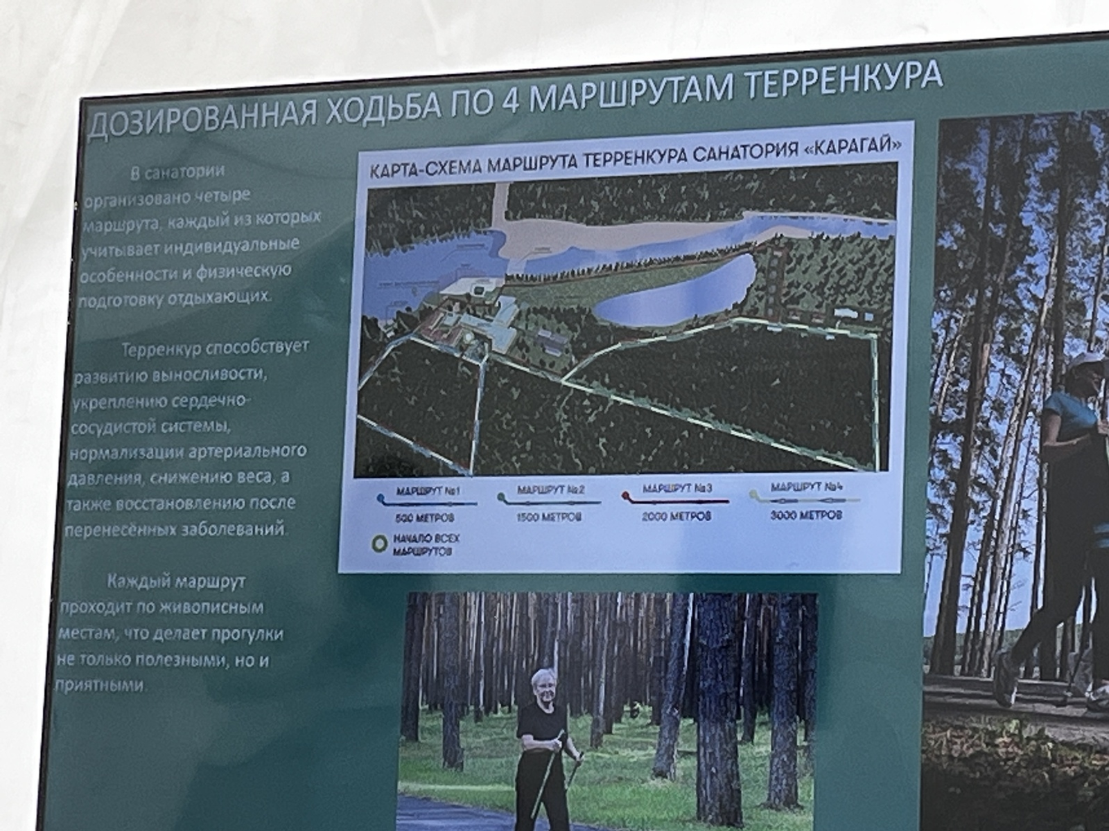 Елена КУРАМШИНА: «Уфа должна стать медицинской столицей России!»