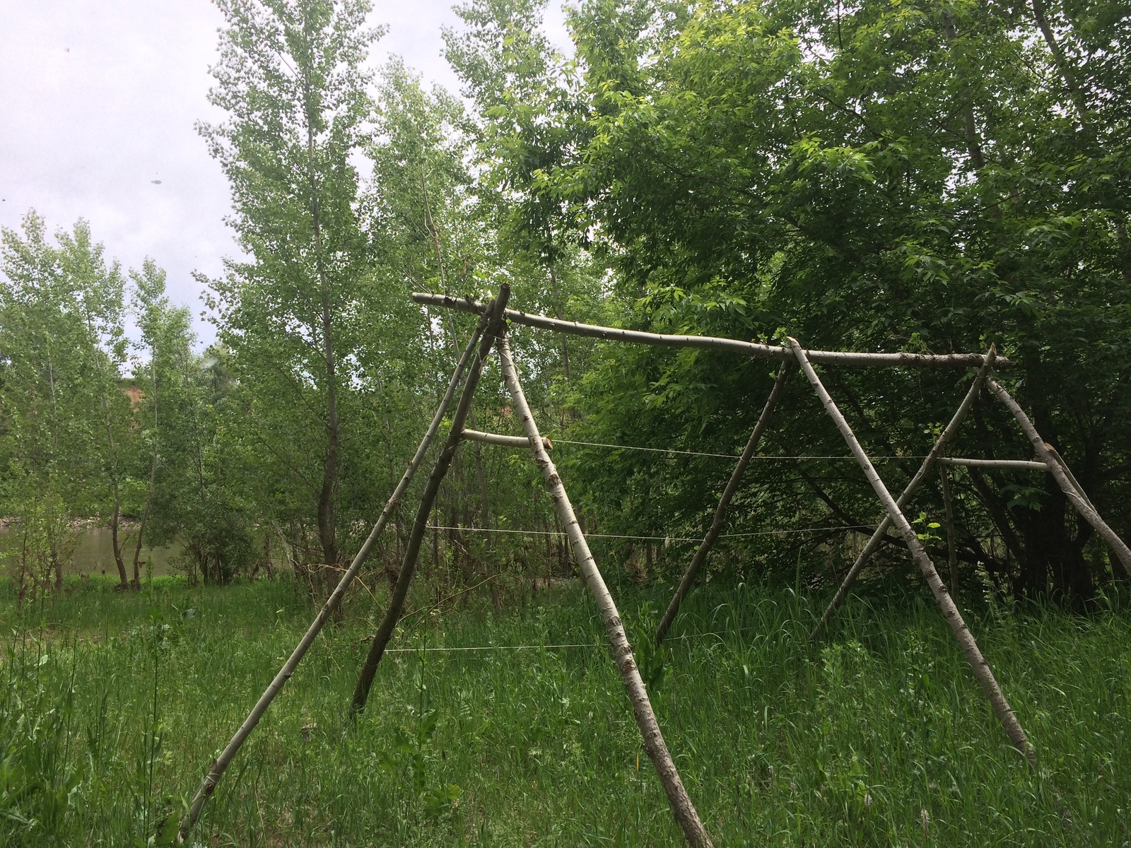 Как попасть «Артек»?