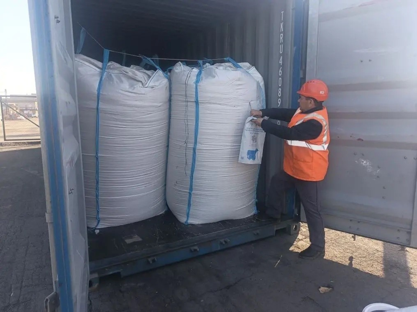 Овес из Башкирии впервые экспортировали потребителям в Китае