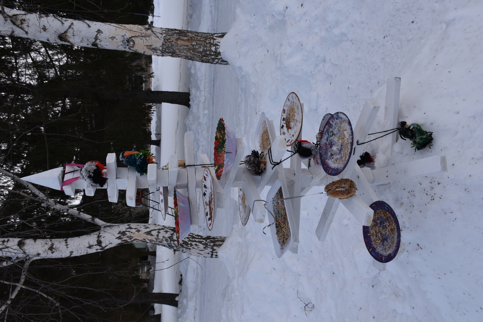 В образовательных учреждениях Мелеуза проходит природоохранная акция "Кормушка"