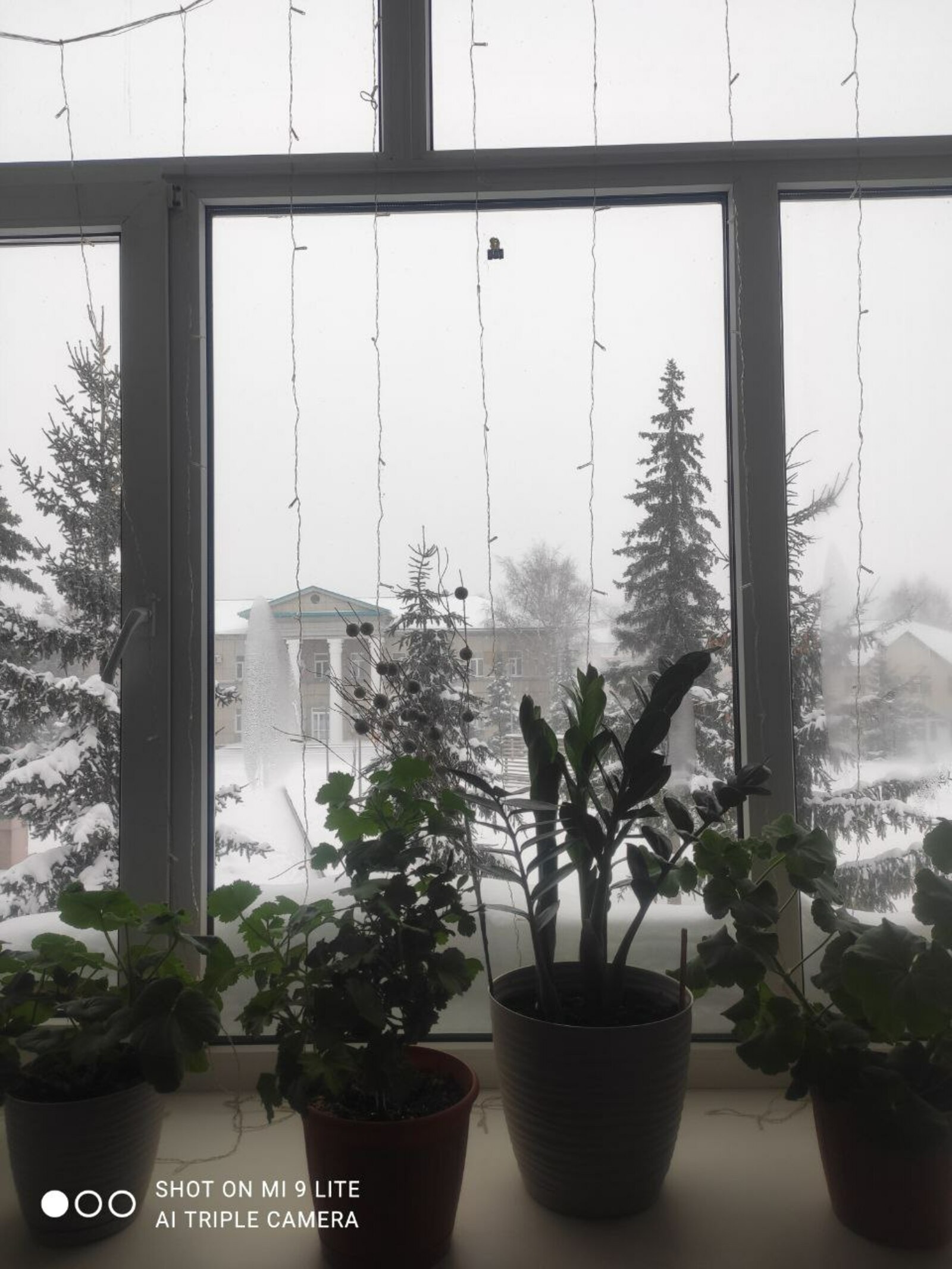 Погода в Башкирии на 11 января