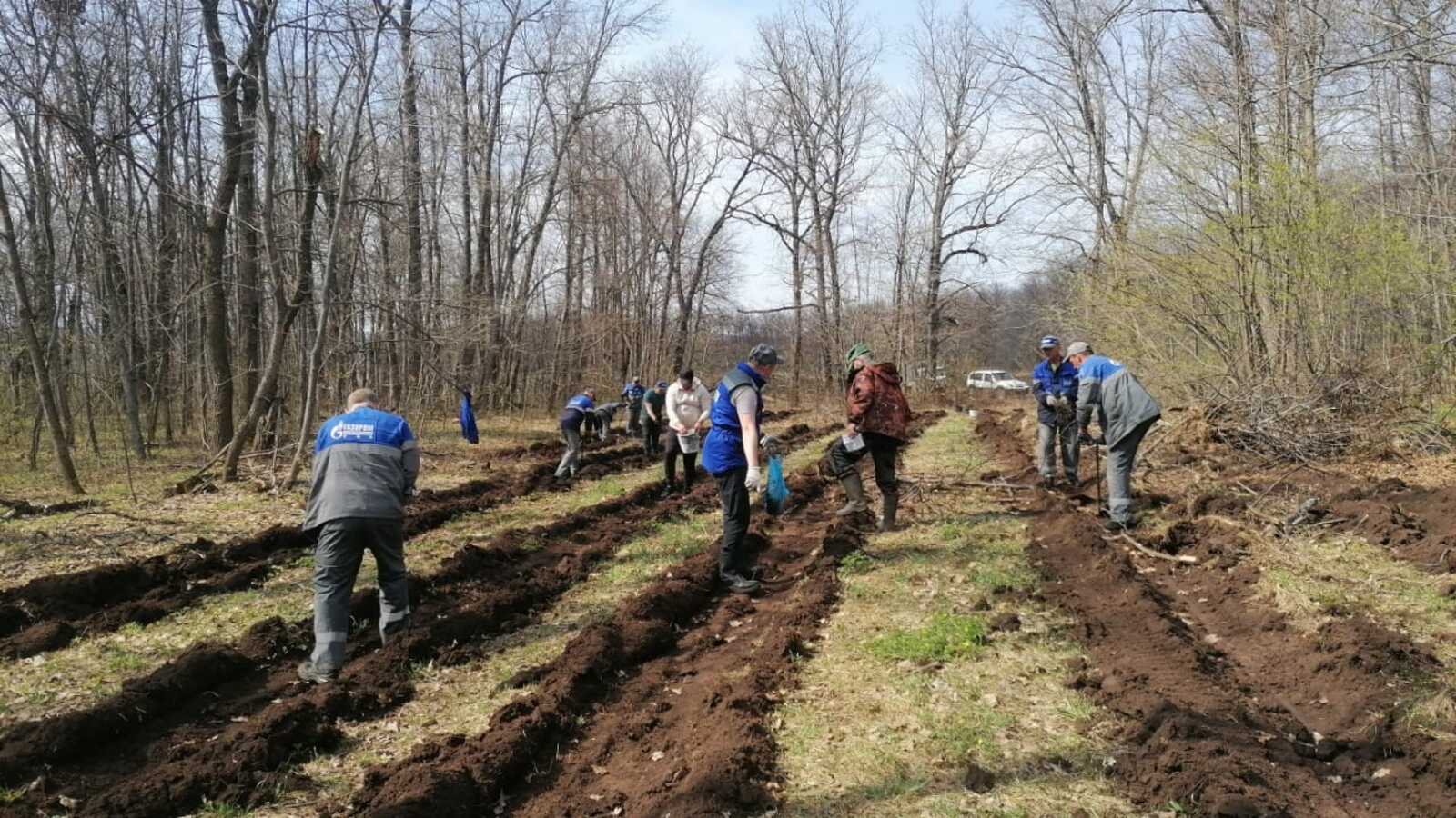 В Мелеузовском районе стартовала акция «Зелёная Башкирия»