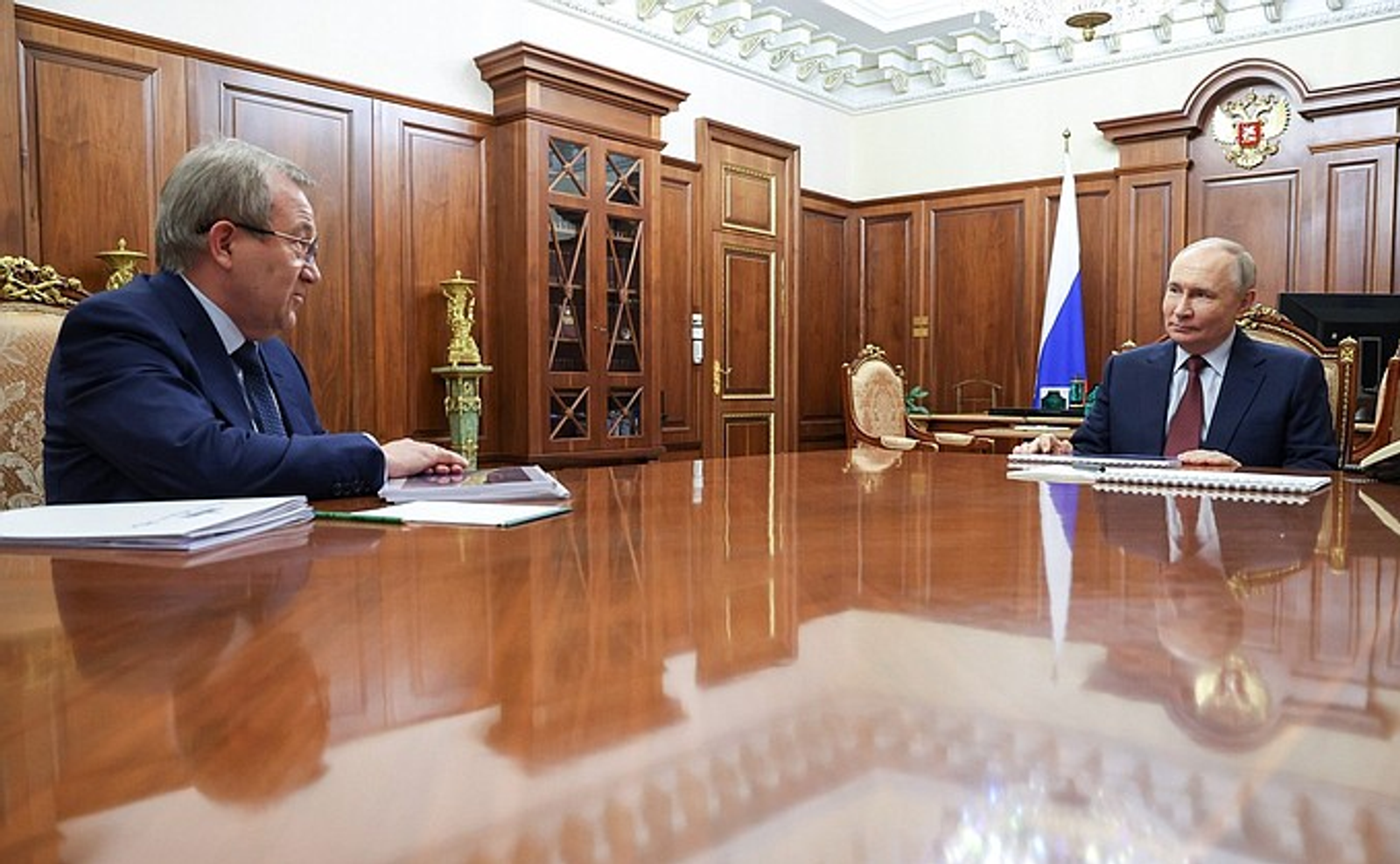 Владимир Путин провёл встречу с президентом РАН Геннадием Красниковым