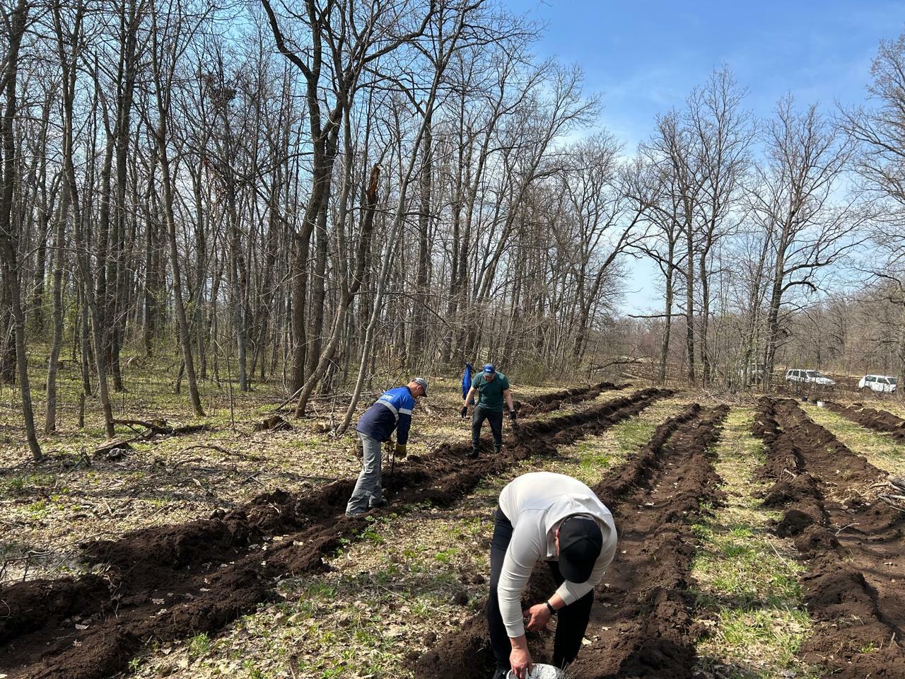 В Мелеузовском районе стартовала акция «Зелёная Башкирия»
