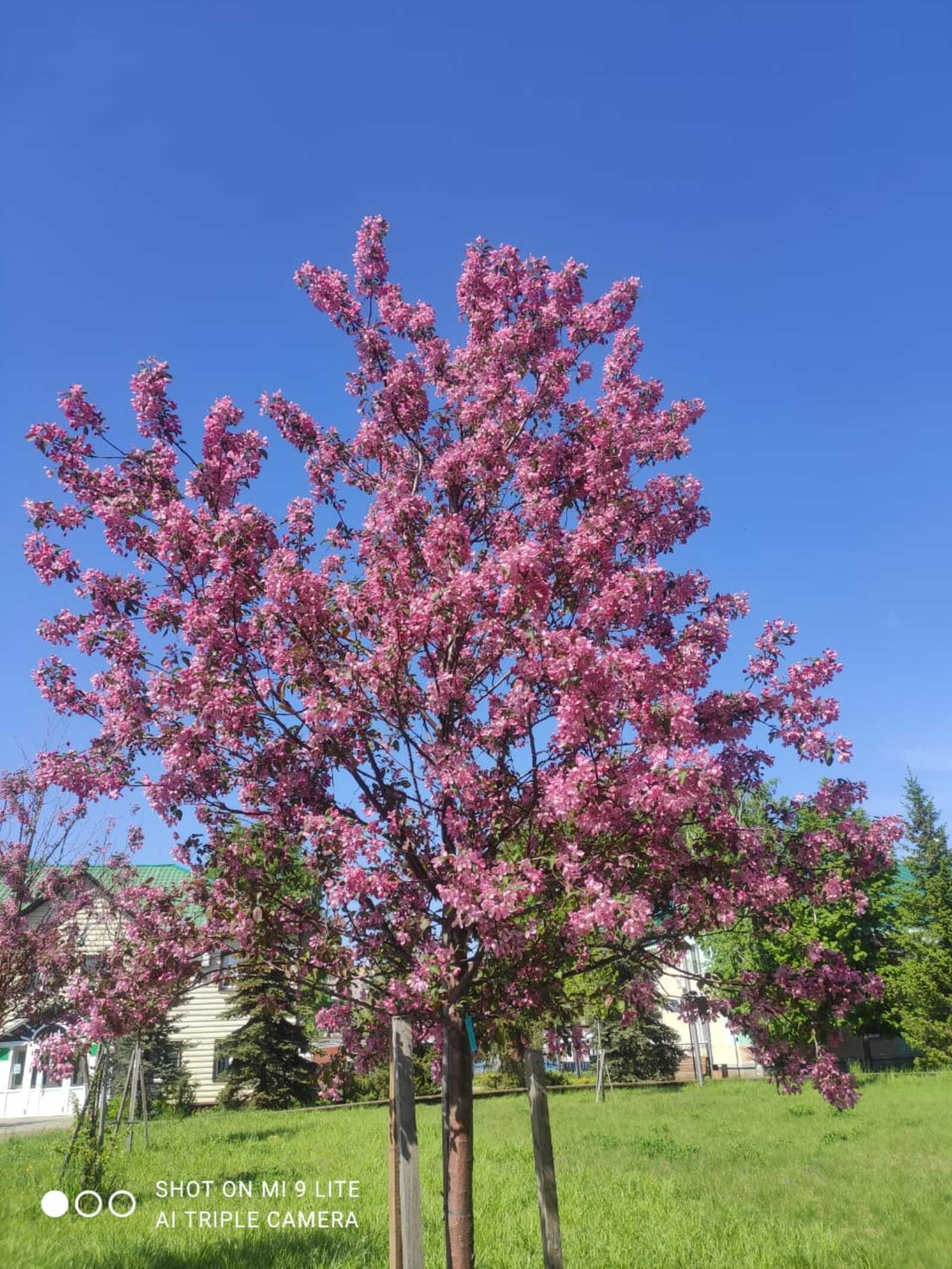 Погода в Башкирии на 9 мая: что обещают синоптики?