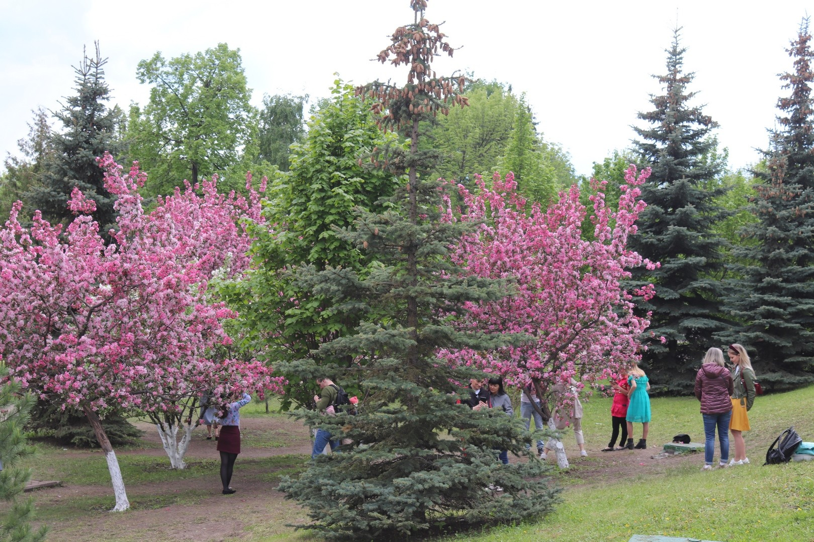Чем запомнилась неделя в Башкирии?