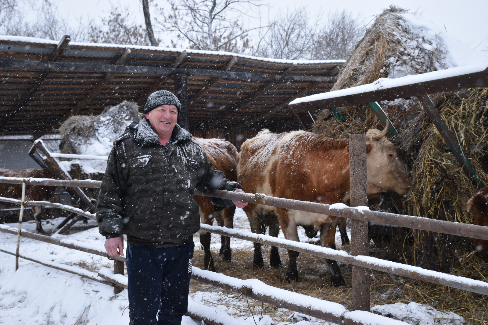 В Мелеузовском районе зимовка скота идёт по плану